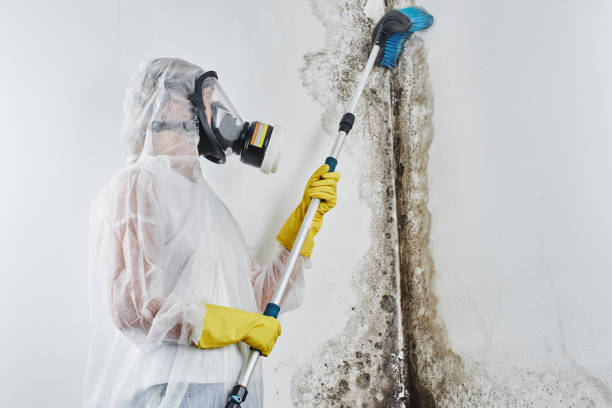 Sewage cleanup and water damage restoration in Smithville, TN